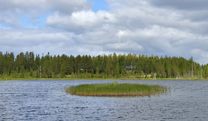 Northern landscape. Green Island on blue lake. Northern Finland, Lapland