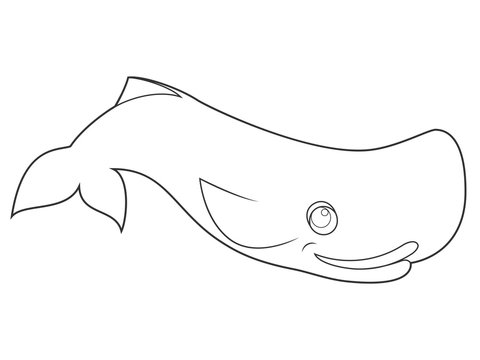 vector illustration of a sperm whale on white background with black outline for kids and coloring book
