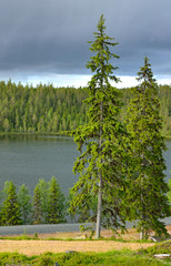 Northern landscape. Nature before storm. Last rays of sun