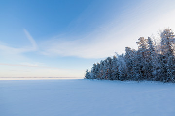Frozen lake and snow covered forest