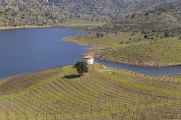Naklejka premium Sabor River in Douro Valley