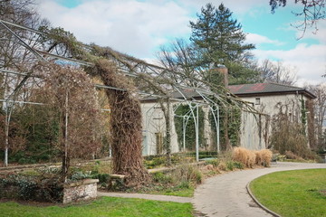 Fototapete bei efototapeten.de bestellen   