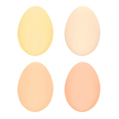 Set of four easter eggs isolated on white background for design  happy easter day