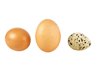 Chicken and quail eggs on a white background
