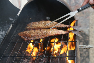 рыба, скумбрия, макрель.