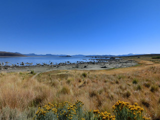 Scenic northern California lake with prairie grass - landscape color photo