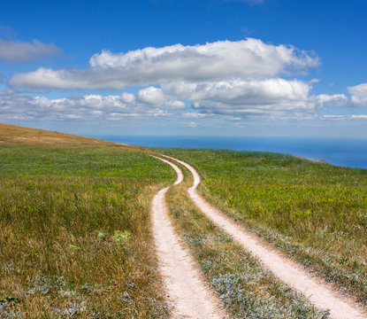 rut road across meadow