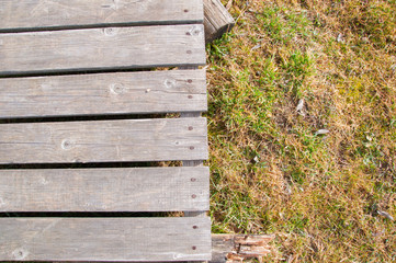 Wood texture, background old panels on grass