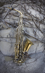 Fototapeta na wymiar Jazz Saxophone Grunge