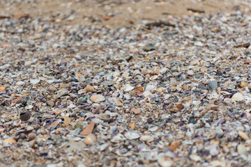 Mit Muschelschalen bedeckter Strand in Thailand
