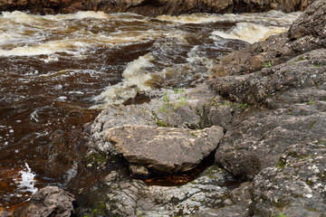iver Oulankajoki is heart of Oulanka National Park