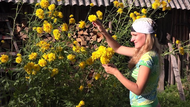 Playful florist woman girl picking yellow flower blooms to bouquet in rural garden. Static shot.
