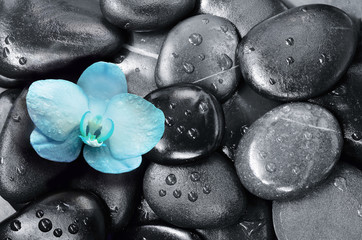 Spa concept. Stones and Orchid flower.