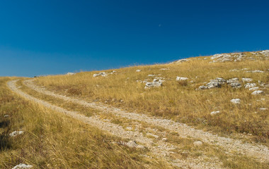 Autumanl landscape with rocky road on Ai-Petri mountain tableland in Crimean peninsula