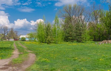 Fototapeta na wymiar Sunny spring landscape with earth road leading to remote farm-stead in central Ukraine
