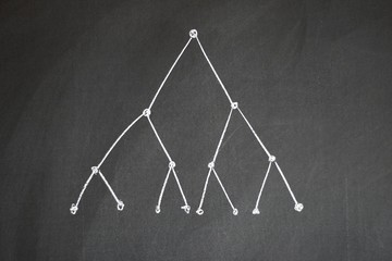 Studying mathematics on a blackboard 