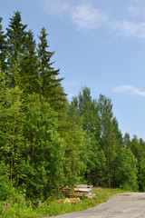 Glades in forest