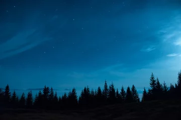 Zelfklevend Fotobehang Forest of pine trees under moon and blue dark night sky © Pavlo Vakhrushev