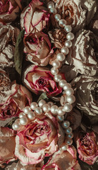 Сухие бутоны роз и жемчуг