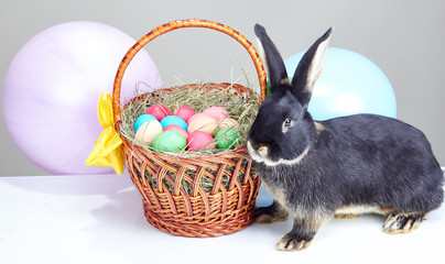 Beautiful Easter rabbit near a wicker basket with colored eggs