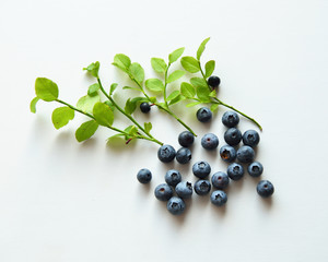 Blueberries on light background