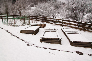 resting snow covered raised vegetable beds in the cold winter in countryside garden