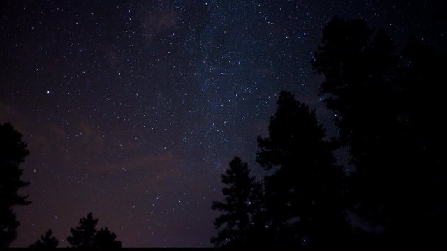 An alpine time lapse of stars above pine trees in the mountains