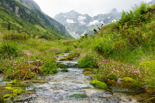 Quelle mit Wasserlauf durch die Naturlandschaft