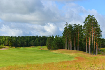 Evening. Golf course