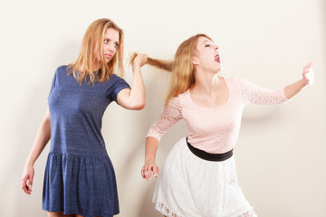 Aggressive mad women fighting each other.