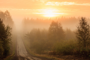 Fototapeta na wymiar Dirt road and thick fog sunrise