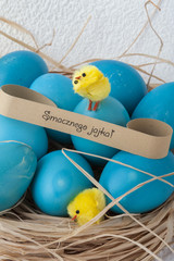 Wielkanoc, pisanki wielkanocne, gniazdo i kurczaki © npls
