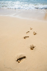 Footprints on the beach