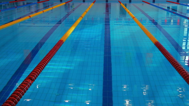 Swimming pool in anticipation of the swim