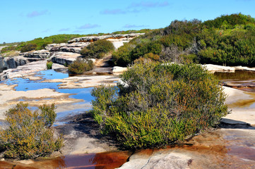 Australian bush walking