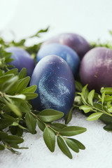 easter eggs purple and blue