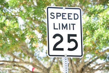 Fototapeta Speed Limit Sign 25 MPH obraz