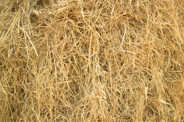 Close up hay straw texture, agriculture background
