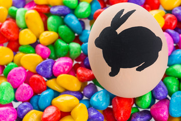 Fototapeta na wymiar Easter bunny painted on egg
