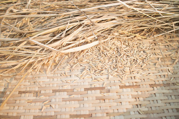 Paddy rice on weave threshing basket