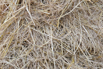 stack straw or haystack.