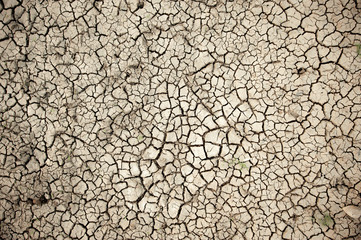 Background of dry cracked soil dirt