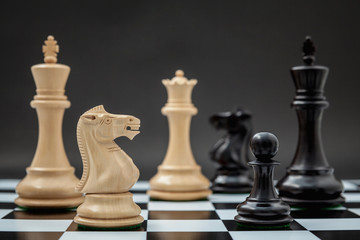Black and White King and Knight of chess setup on Chessboard and