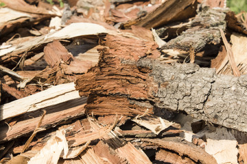 a large pile of bark of fruit trees