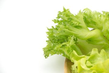 Part of hydroponics vegetable on white background 