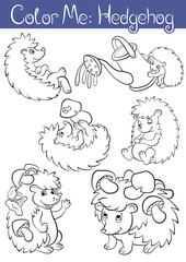 Set of seven little cute hedehoges.
