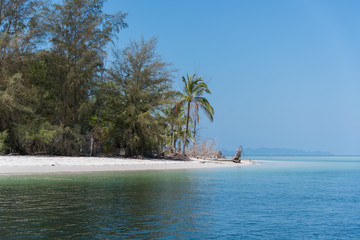 Island tropical Andaman shores