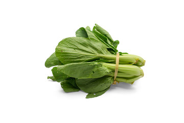 Bunch of organic Pak Choi on white background