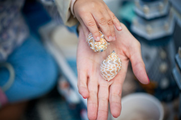 the ocean's treasures