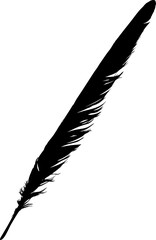 isolated single black straight feather from wing